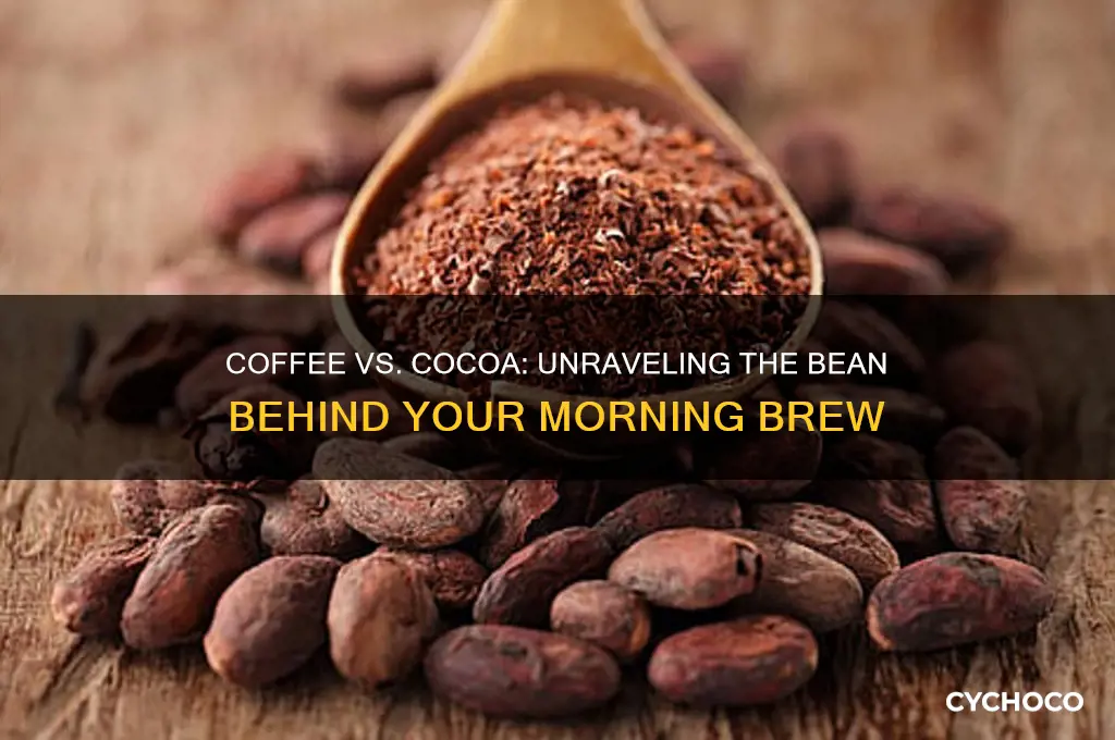 is coffee made from cocoa beans