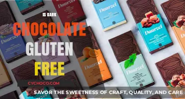 Indulge in Decadence: Exploring the Gluten-Free Dark Chocolate Delight