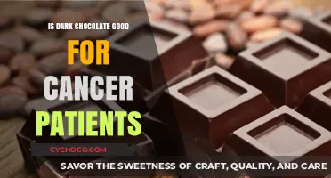 Dark Chocolate Benefits: A Sweet Ally for Cancer Patients?