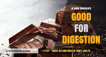 Exploring the Digestive Benefits of Dark Chocolate: A Sweet Truth