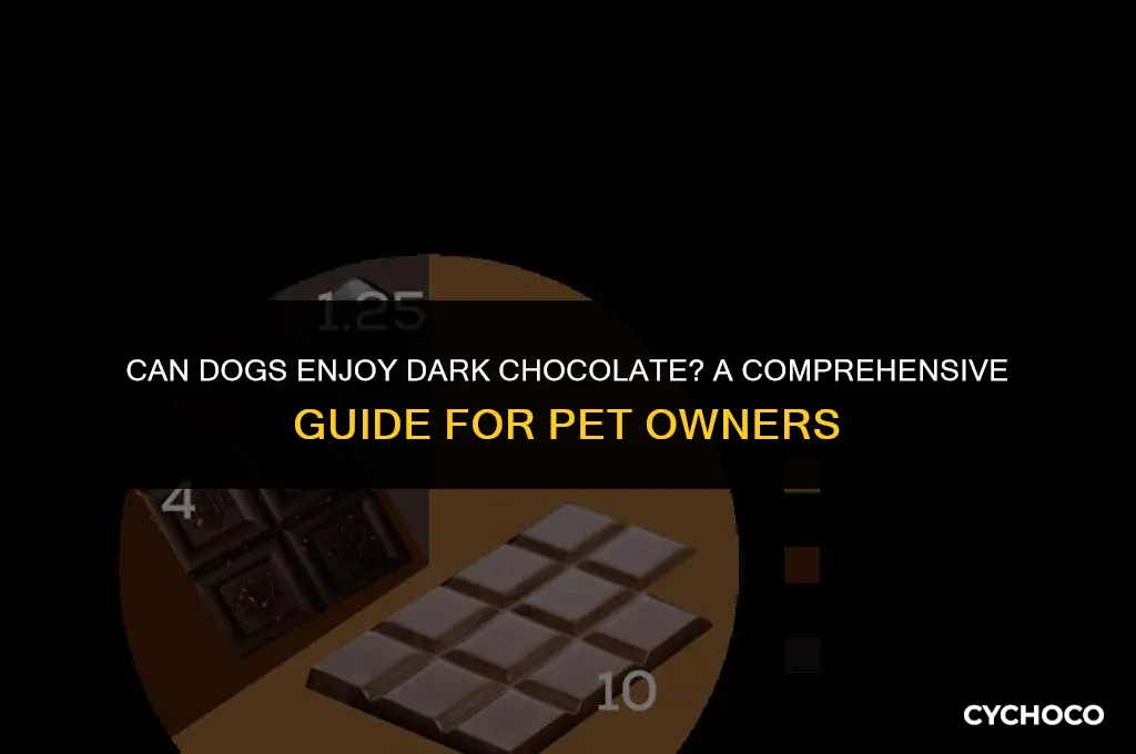 is dark chocolate good for dogs