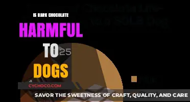 The Dark Side of Dark Chocolate: Is It Harmful to Dogs?