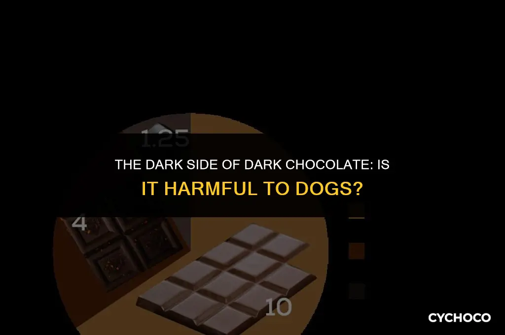 is dark chocolate harmful to dogs