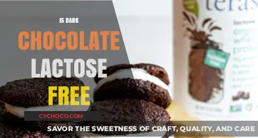 Is Dark Chocolate Lactose-Free? A Sweet Guide for Dairy-Sensitive Eaters