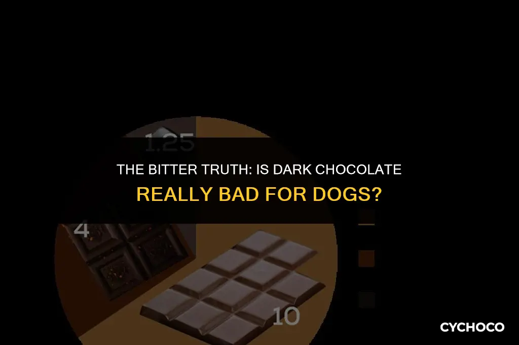 is dark chocolate worse for dogs