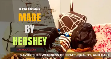 Is Dove Chocolate Made by Hershey? Unraveling the Sweet Mystery