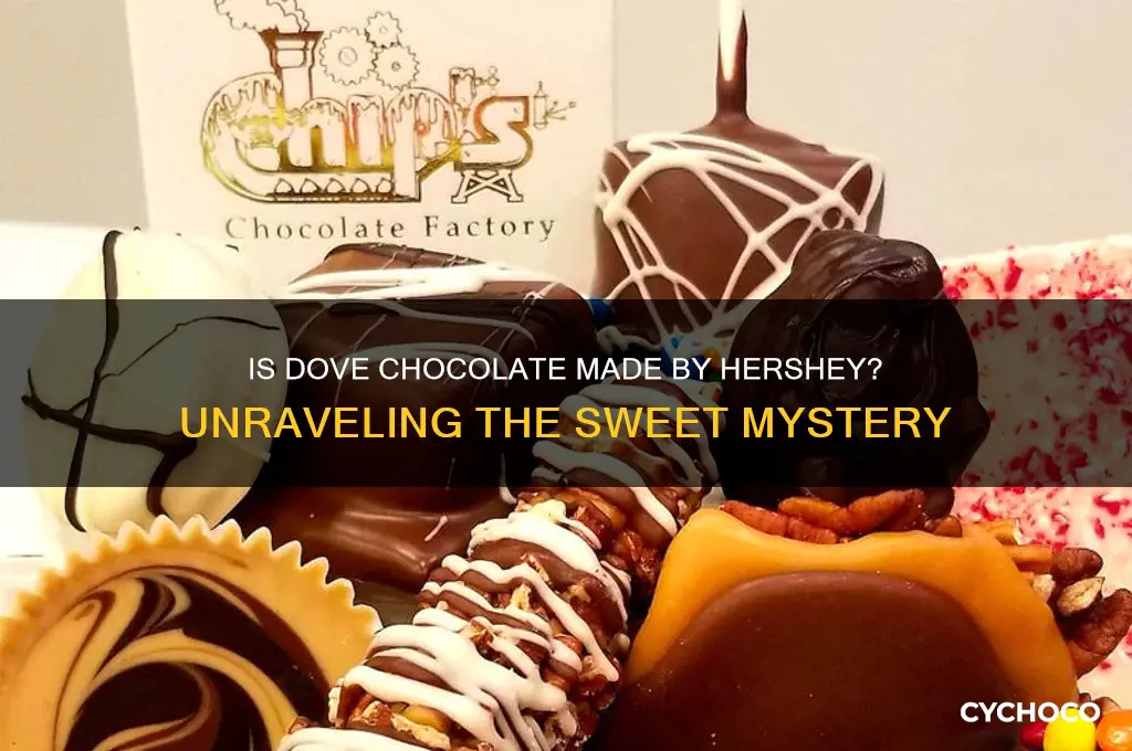 is dove chocolate made by hershey