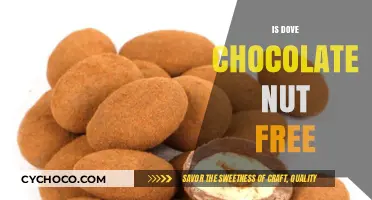 Is Dove Chocolate Nut-Free? A Comprehensive Guide for Allergy Sufferers