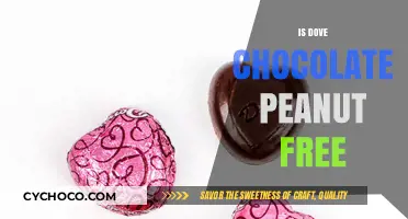 Is Dove Chocolate Peanut-Free? A Detailed Allergen Analysis