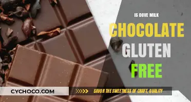 Is Dove Milk Chocolate Gluten-Free? A Sweet and Safe Answer