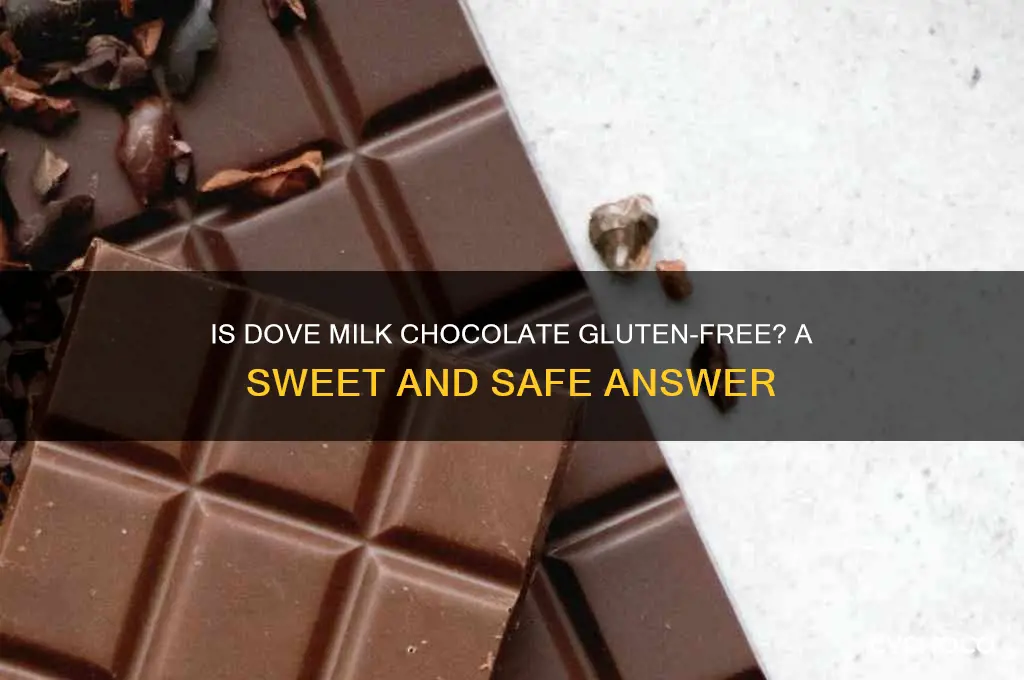 is dove milk chocolate gluten free