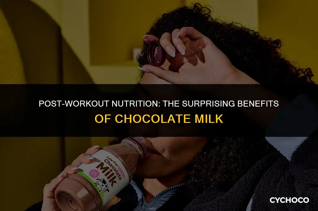 is drinking chocolate milk after a workout good for you