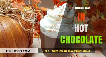 Exploring the Fiery Debate: Fireball in Hot Chocolate - Yes or No?