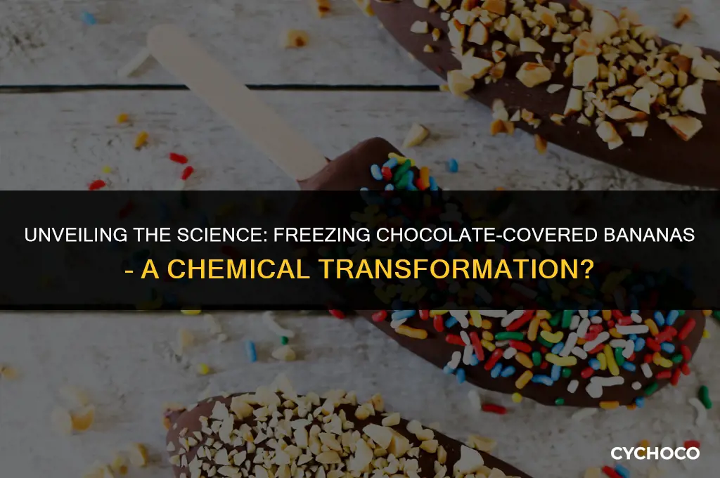 is freezing chocolate covered bananas a chemical change