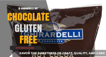 Indulge in Ghirardelli: Gluten-Free Hot Chocolate Delight