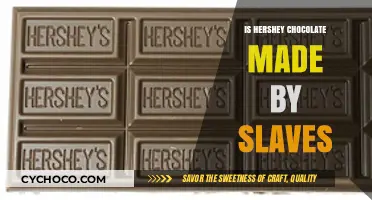 Hershey Chocolate and Slavery: Uncovering the Dark Side of Production