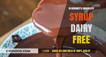 Decoding Hershey's Chocolate Syrup: A Dairy-Free Delight or Not?