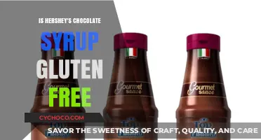 Is Hershey's Chocolate Syrup Gluten-Free? A Sweet Fact Check