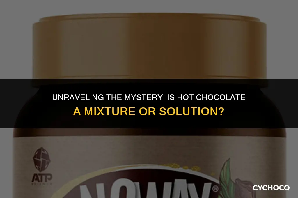 is hot chocolate a mixture or solution