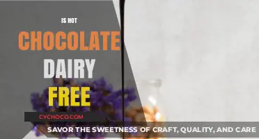 Delicious Dairy-Free Hot Chocolate: A Guilt-Free Indulgence