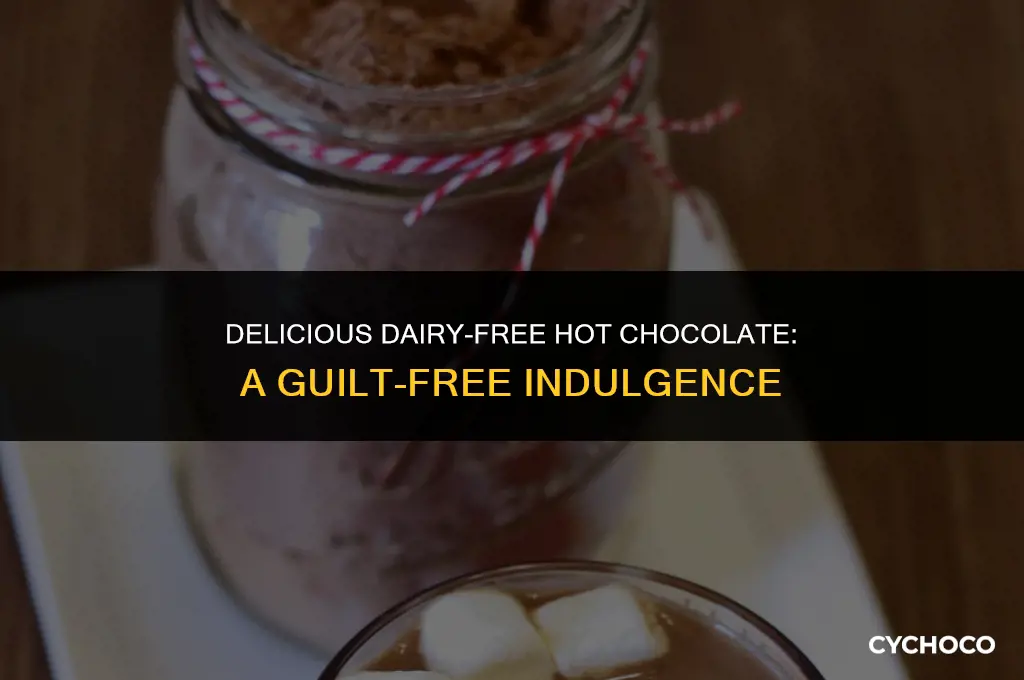 is hot chocolate dairy free
