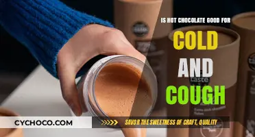 Soothe Your Cold and Cough: The Hot Chocolate Remedy