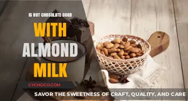 Delicious Harmony: Hot Chocolate and Almond Milk Unite