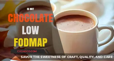 Sipping Comfort: Is Hot Chocolate a Low FODMAP Choice?