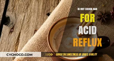 Soothe Your Stomach: The Surprising Truth About Hot Cocoa and Acid Reflux