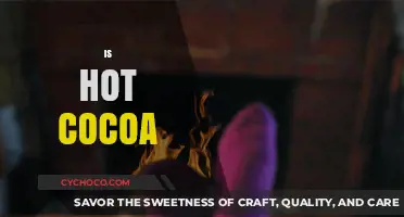 Sipping on Comfort: The Perfect Hot Cocoa for Chilly Nights