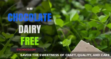 Indulge in Hu Chocolate: Your Dairy-Free Delight Awaits!