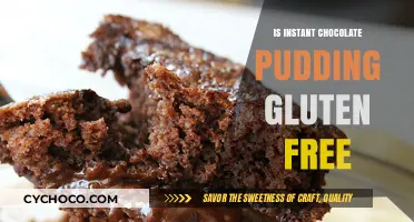 Is Instant Chocolate Pudding Gluten-Free? A Sweet and Simple Answer