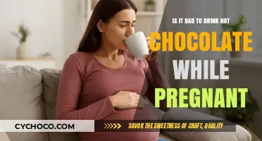 Pregnancy and Hot Chocolate: Safe Indulgence or Risky Choice?