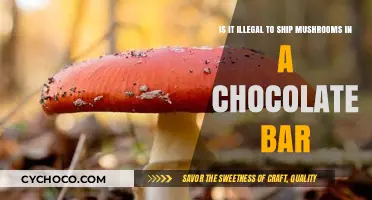 Navigating the Legal Landscape: Shipping Mushrooms in Chocolate Bars
