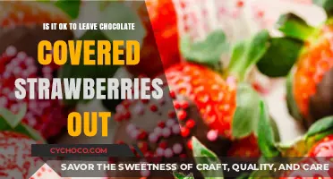 Sweet Dilemma: The Truth About Leaving Chocolate-Covered Strawberries Out