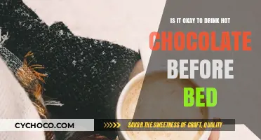 Sipping on Comfort: The Bedtime Hot Chocolate Debate