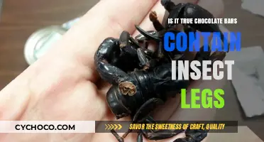 The Shocking Truth: Do Your Chocolate Bars Contain Insect Legs?