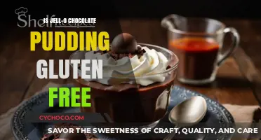 Is Jell-O Chocolate Pudding Gluten-Free? A Clear Answer