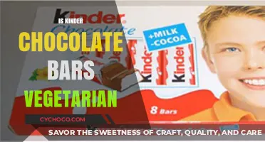 Exploring Kinder Chocolate Bars: A Vegetarian's Sweet Dilemma