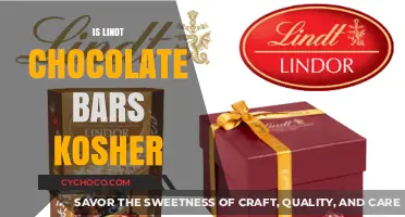 Exploring the Kosher Status of Lindt Chocolate Bars: A Comprehensive Guide