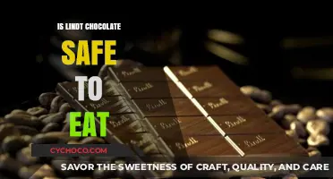 Decoding Lindt Chocolate Safety: What You Need to Know
