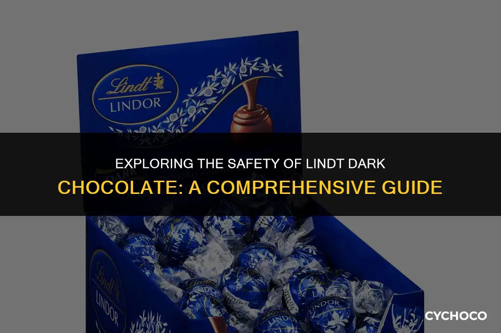 is lindt dark chocolate safe to eat