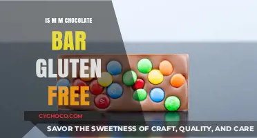 Delving into the Ingredients: Is the M&M Chocolate Bar Gluten-Free?
