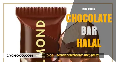 Exploring the Halal Status of Magnum Chocolate Bars