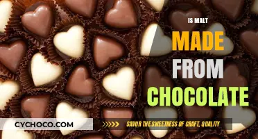 Is Malt Made from Chocolate? Unraveling the Sweet Misconception