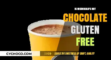 Is McDonald's Hot Chocolate Gluten-Free? A Complete Guide
