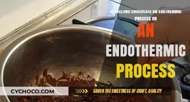 Melting Chocolate: Exothermic or Endothermic? Unraveling the Science