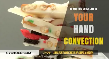 Is Melting Chocolate in Your Hand Convection? Exploring Heat Transfer