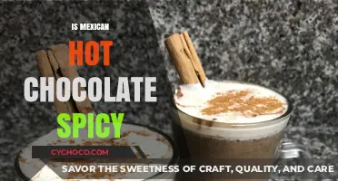 Exploring the Spicy Side of Mexican Hot Chocolate: A Flavor Journey