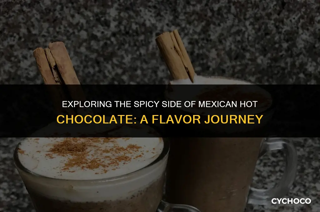 is mexican hot chocolate spicy
